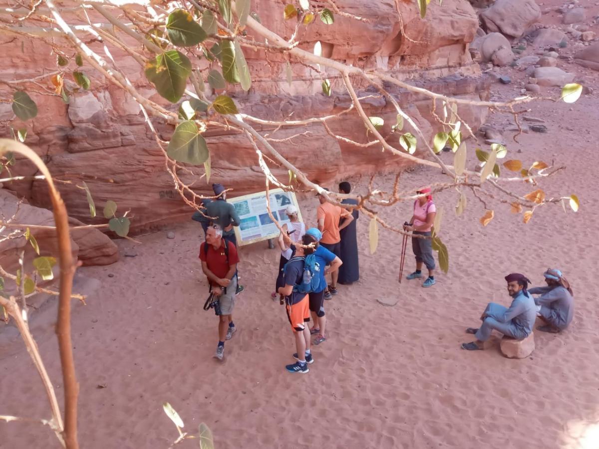 Bedouin Future Camp Ξενοδοχείο Ουάντι Ραμ Εξωτερικό φωτογραφία