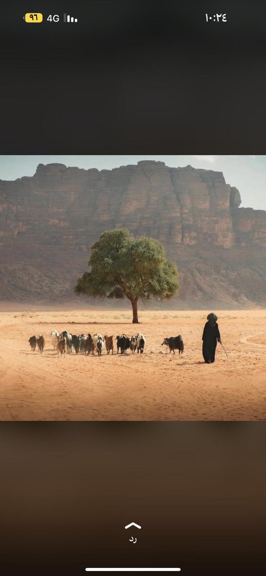 Bedouin Future Camp Ξενοδοχείο Ουάντι Ραμ Εξωτερικό φωτογραφία