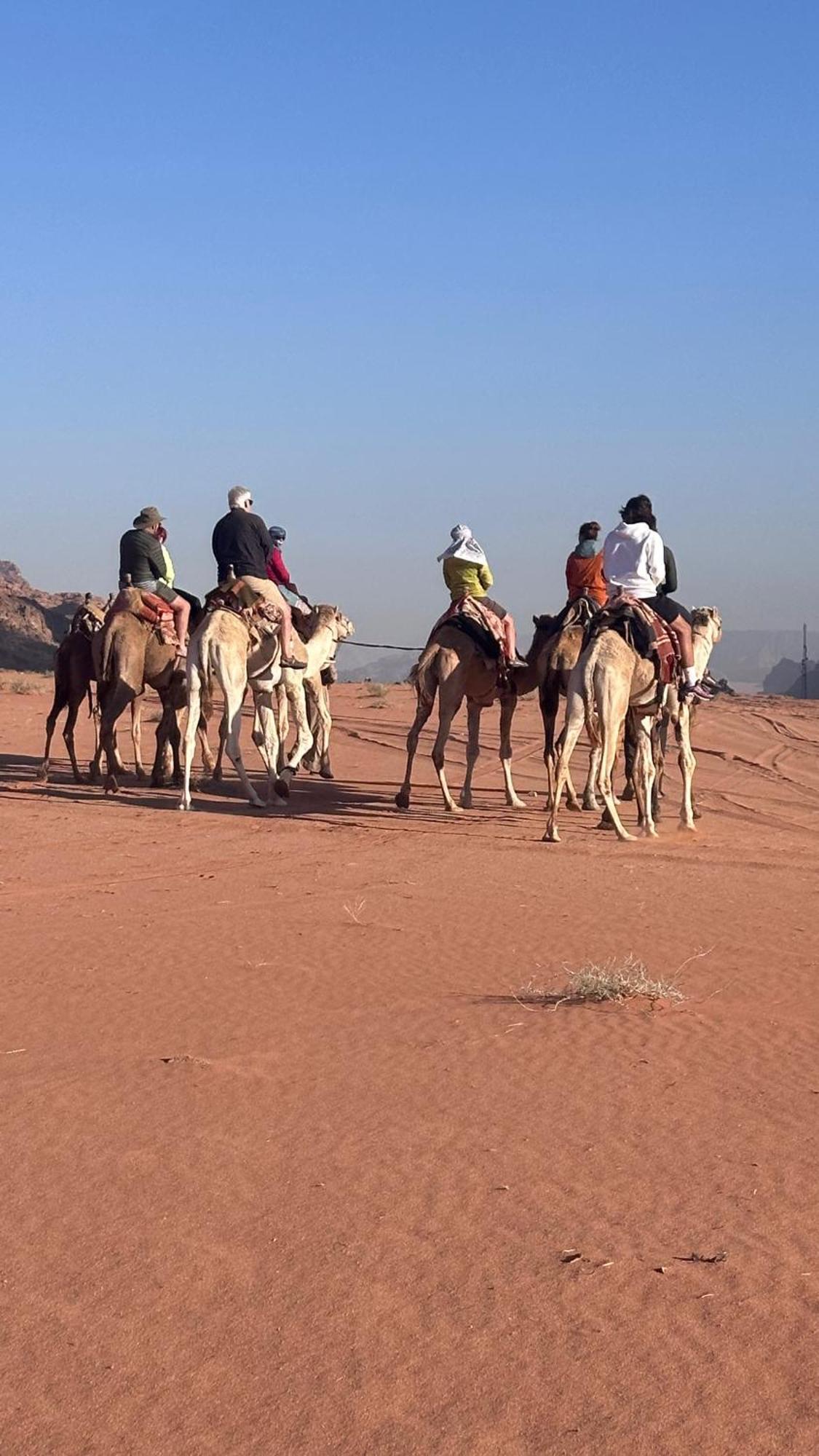 Bedouin Future Camp Ξενοδοχείο Ουάντι Ραμ Εξωτερικό φωτογραφία